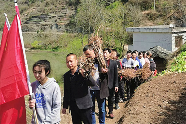 旬阳县仁河口镇中心校党团携手植棵树我为家乡添片绿