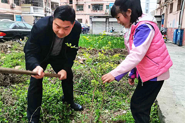 石泉縣城關一小種下親子樹播撒新希望