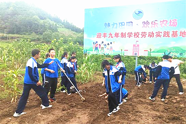 石泉縣迎豐九年制學校開學伊始打卡勞動教育實踐基地